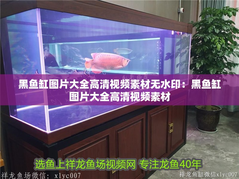 黑魚缸圖片大全高清視頻素材無水印：黑魚缸圖片大全高清視頻素材