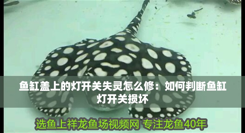 魚缸蓋上的燈開關失靈怎么修：如何判斷魚缸燈開關損壞