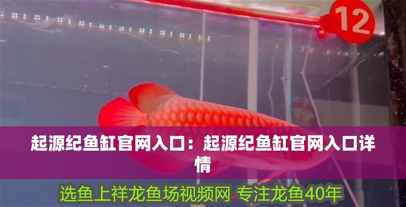 起源紀魚缸官網入口：起源紀魚缸官網入口詳情