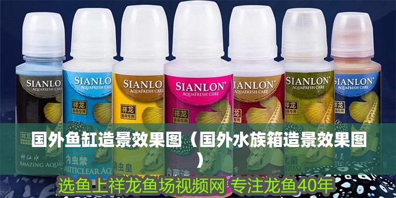 國外魚缸造景效果圖（國外水族箱造景效果圖）