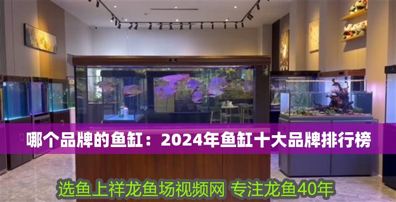 哪個(gè)品牌的魚缸：2024年魚缸十大品牌排行榜