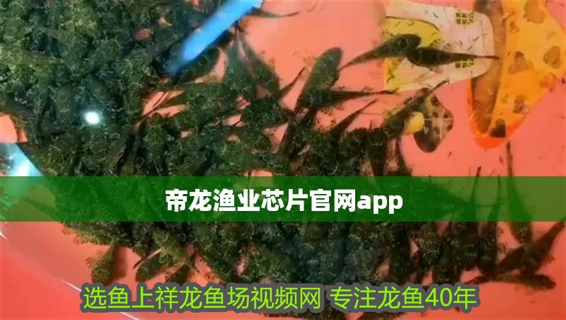 帝龍漁業(yè)芯片官網(wǎng)app