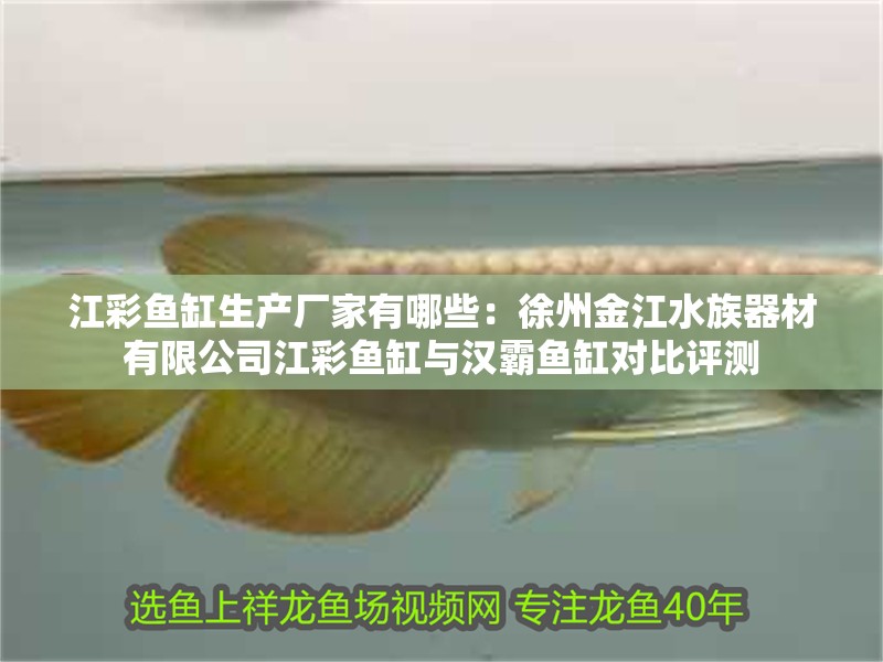 江彩魚缸生產(chǎn)廠家有哪些：<strong><mark>徐州</mark></strong>金江水族器材有限公司江彩魚缸與漢霸魚缸對比評測