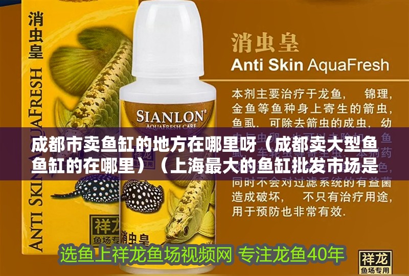 成都市賣魚缸的地方在哪里呀（成都賣大型魚魚缸的在哪里）（上海最大的魚缸批發(fā)市場(chǎng)是成都最大的魚缸批發(fā)市場(chǎng)）