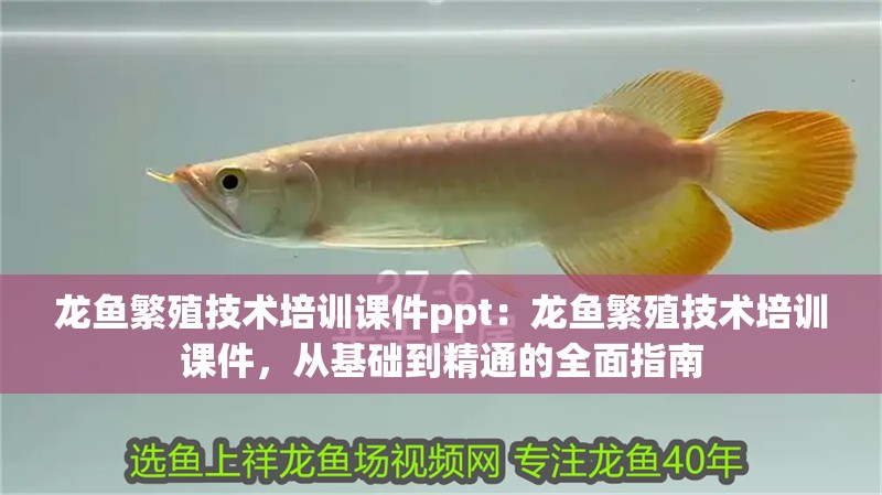 龍魚繁殖技術培訓課件ppt：龍魚繁殖技術培訓課件，從基礎到精通的全面指南