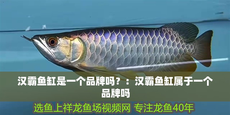 漢霸魚缸是一個品牌嗎？：漢霸魚缸屬于一個品牌嗎
