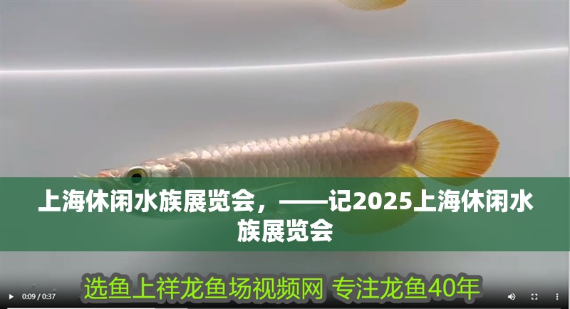 上海休閑水族展覽會，——記2025上海休閑水族展覽會