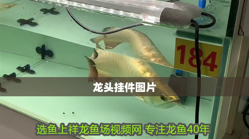 龍頭掛件圖片 龍頭掛件圖片 龍魚論壇