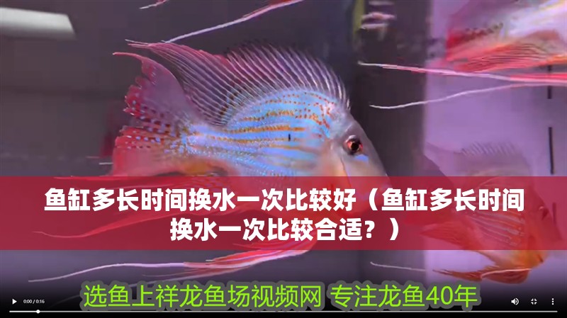 魚(yú)缸多長(zhǎng)時(shí)間換水一次比較好（魚(yú)缸多長(zhǎng)時(shí)間換水一次比較合適？）