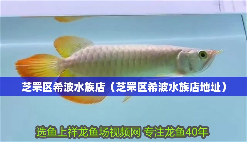 <strong><mark>芝罘</mark></strong>區(qū)希波水族店（<strong><mark>芝罘</mark></strong>區(qū)希波水族店地址）