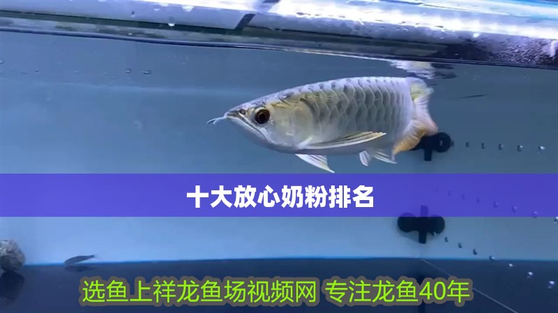 十大放心奶粉排名