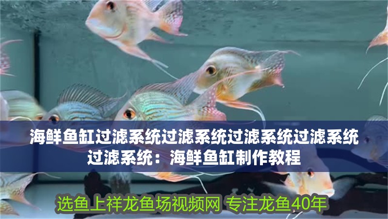 海鮮魚缸過濾系統過濾系統過濾系統過濾系統過濾系統：海鮮魚缸制作教程