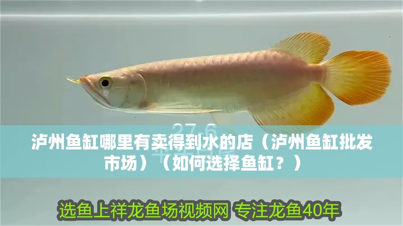 瀘州魚缸哪里有賣得到水的店（瀘州魚缸批發市場）（如何選擇魚缸？）
