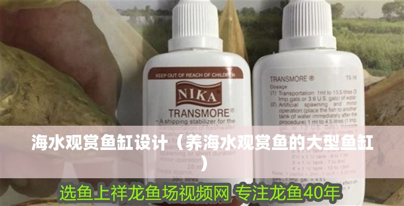 海水觀賞魚缸設計（養海水觀賞魚的大型魚缸）