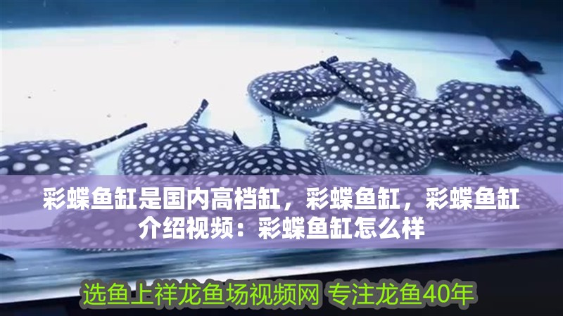 彩蝶魚缸是國內高檔缸，彩蝶魚缸，彩蝶魚缸介紹視頻：彩蝶魚缸怎么樣