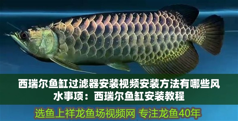 西瑞爾魚缸過濾器安裝視頻安裝方法有哪些風水事項：西瑞爾魚缸安裝教程