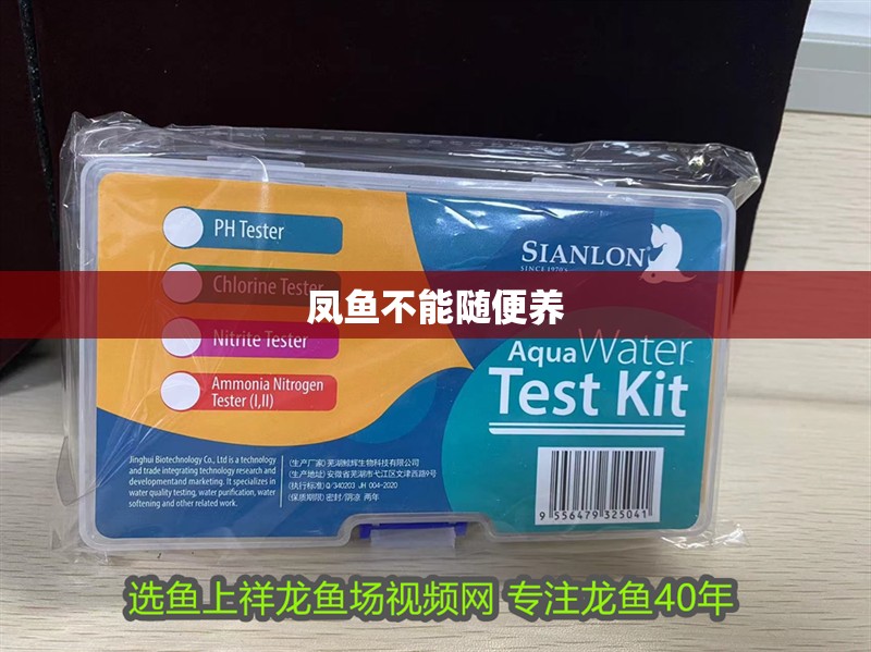 鳳魚不能隨便養