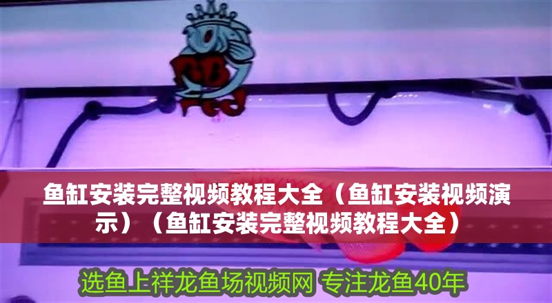 魚缸安裝完整視頻教程大全（魚缸安裝視頻演示）（魚缸安裝完整視頻教程大全） 魚缸安裝完整視頻教程大全（魚缸安裝視頻演示）（魚缸安裝完整視頻教程大全） 魚缸百科