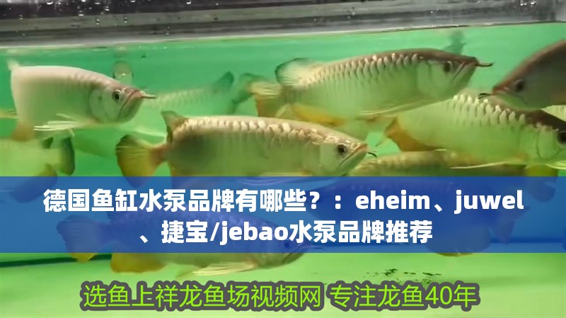 德國魚缸水泵品牌有哪些？：eheim、juwel、捷寶/jebao水泵品牌推薦