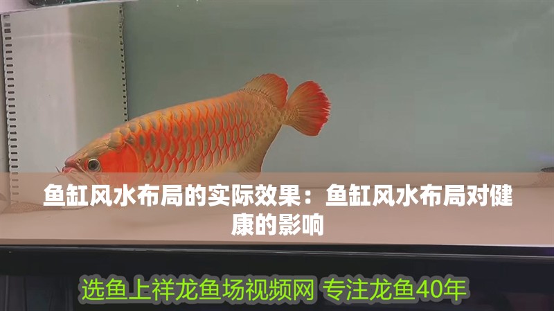 魚缸風(fēng)水布局的實際效果：魚缸風(fēng)水布局對健康的影響