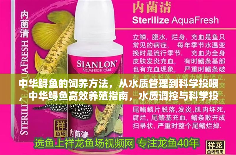 中華鱘魚的飼養(yǎng)方法，從水質(zhì)管理到科學(xué)投喂，中華鱘魚高效養(yǎng)殖指南，水質(zhì)調(diào)控與科學(xué)投喂關(guān)鍵技術(shù)