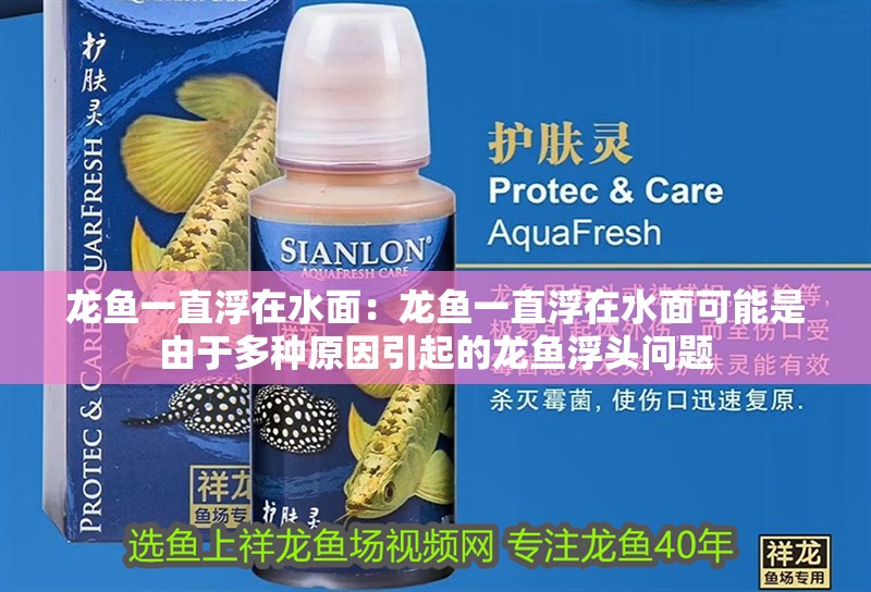 龍魚一直浮在水面：龍魚一直浮在水面可能是由于多種原因引起的龍魚浮頭問題