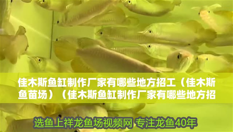 佳木斯魚缸制作廠家有哪些地方招工（佳木斯魚苗場）（佳木斯魚缸制作廠家有哪些地方招工）
