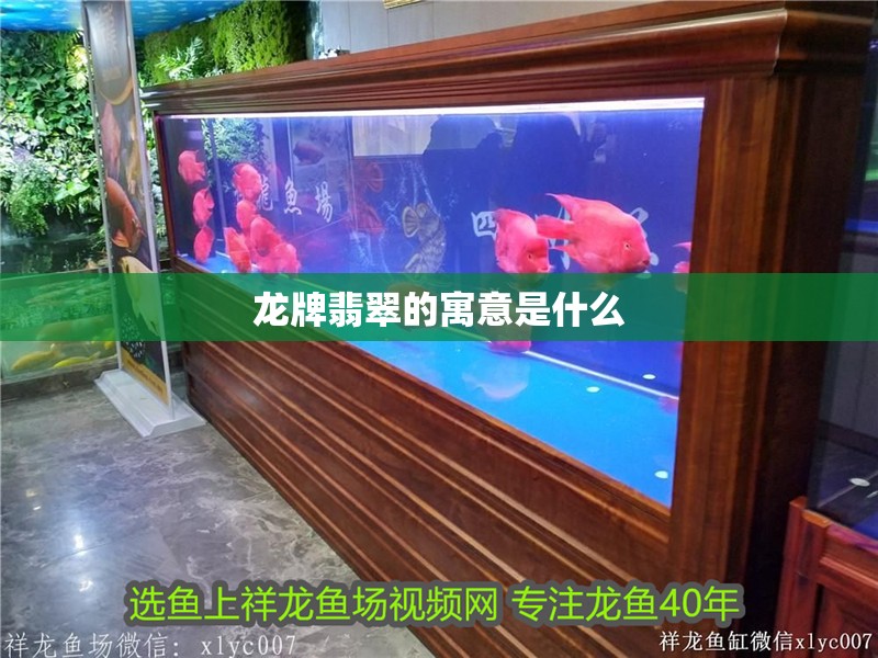 龍牌翡翠的寓意是什么