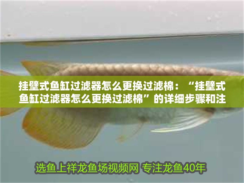 掛壁式魚缸過濾器怎么更換過濾棉：“掛壁式魚缸過濾器怎么更換過濾棉”的詳細步驟和注意事項和頻率