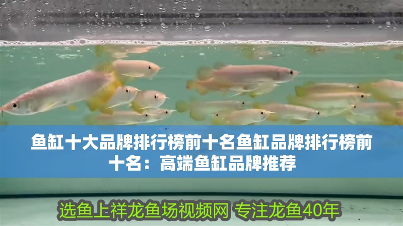 詳細閱讀:魚缸十大品牌排行榜前十名魚缸品牌排行榜前十名:高端魚缸品牌推薦 魚缸十大品牌排行榜前十名魚缸品牌排行榜前十名:高端魚缸品牌推薦