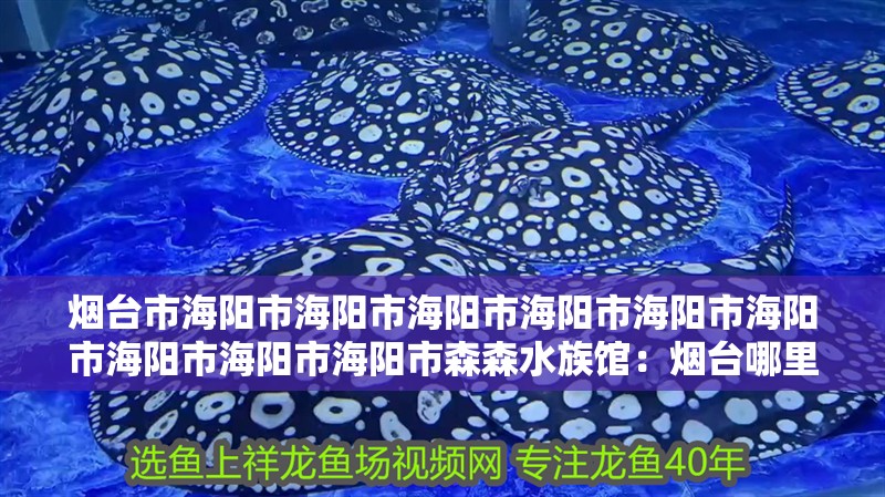 煙臺市海陽市海陽市海陽市海陽市海陽市海陽市海陽市海陽市海陽市森森水族館：煙臺哪里可以買魚缸？