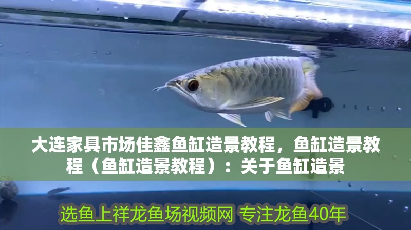 大連家具市場佳鑫魚缸造景教程，魚缸造景教程（魚缸造景教程）：關(guān)于魚缸造景