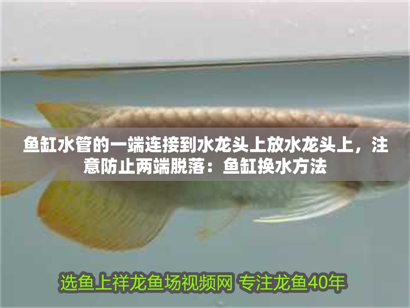 魚缸水管的一端連接到水龍頭上放水龍頭上，注意防止兩端脫落：魚缸換水方法