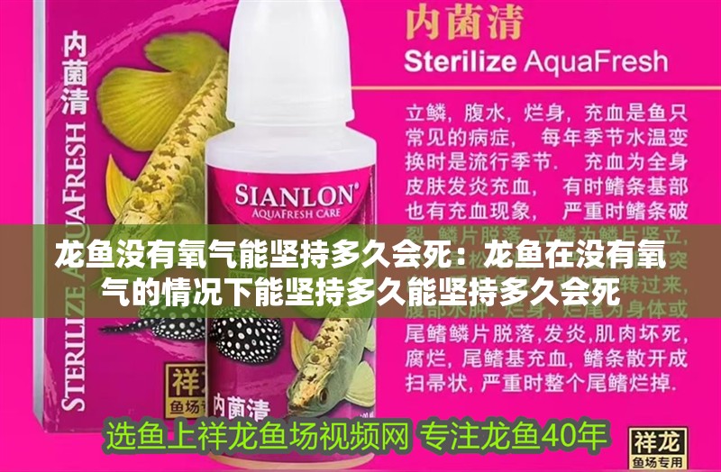 龍魚沒有氧氣能堅持多久會死：龍魚在沒有氧氣的情況下能堅持多久能堅持多久會死