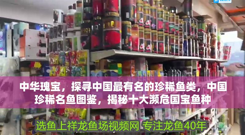 中華瑰寶，探尋中國最有名的珍稀魚類，中國珍稀名魚圖鑒，揭秘十大瀕危國寶魚種