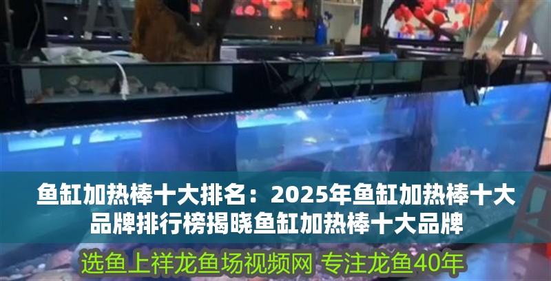 魚缸加熱棒十大排名：2025年魚缸加熱棒十大品牌排行榜揭曉魚缸加熱棒十大品牌