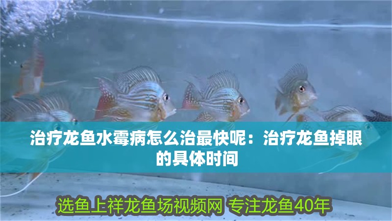 治療龍魚水霉病怎么治最快呢：治療龍魚掉眼的具體時間