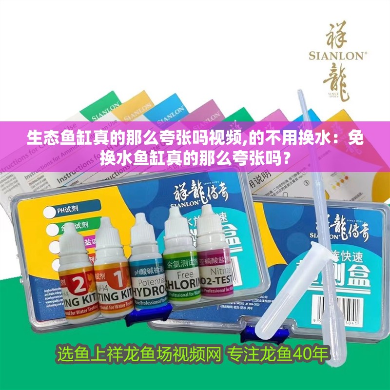 生態魚缸真的那么夸張嗎視頻,的不用換水：免換水魚缸真的那么夸張嗎？ 生態魚缸真的那么夸張嗎視頻,的不用換水：免換水魚缸真的那么夸張嗎？ 魚缸百科