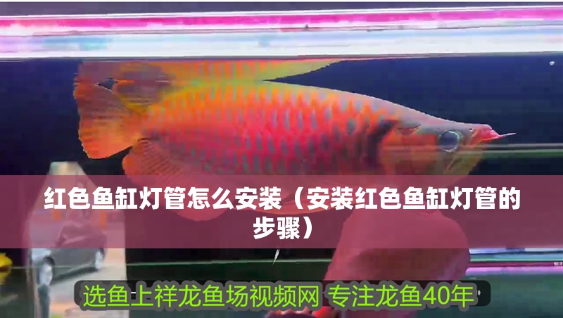 紅色魚缸燈管怎么安裝(安裝紅色魚缸燈管的步驟)
