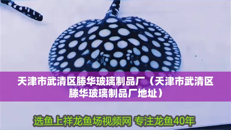 天<strong><mark>津市</mark></strong>武清區(qū)滕華玻璃制品廠（天<strong><mark>津市</mark></strong>武清區(qū)滕華玻璃制品廠地址）