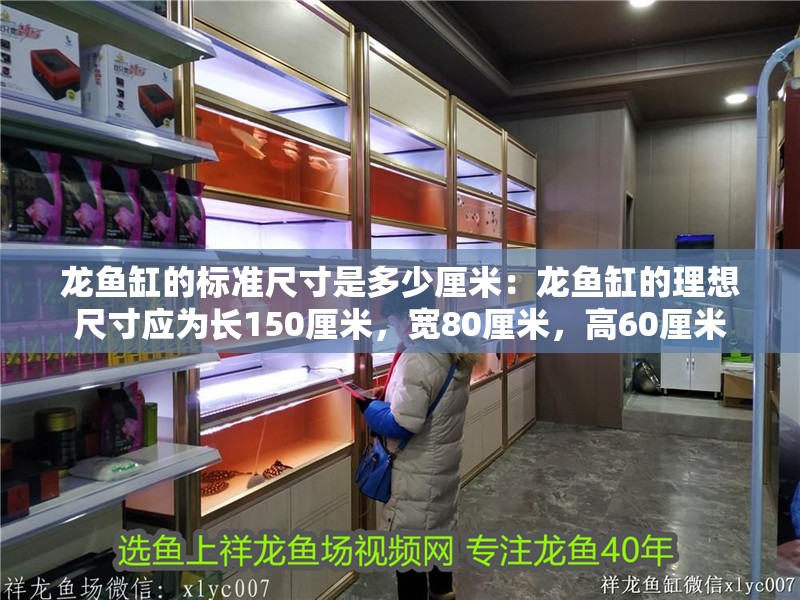 龍魚(yú)缸的標(biāo)準(zhǔn)尺寸是多少厘米：龍魚(yú)缸的理想尺寸應(yīng)為長(zhǎng)150厘米，寬80厘米，高60厘米