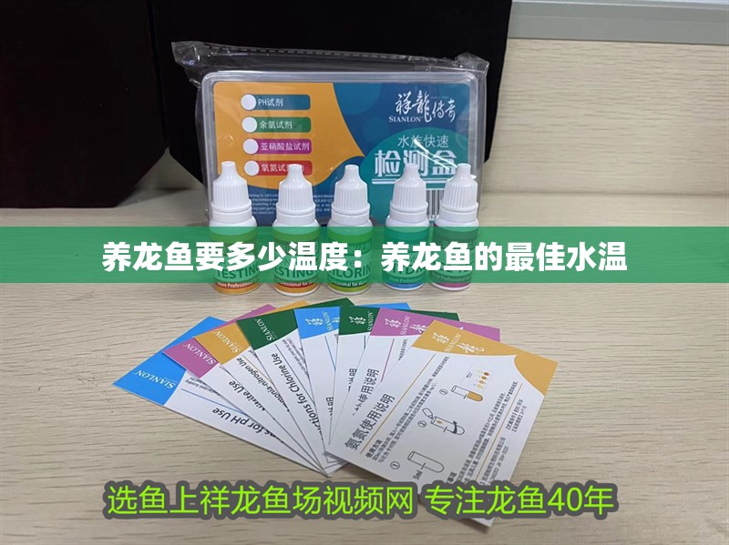 養龍魚要多少溫度：養龍魚的最佳水溫