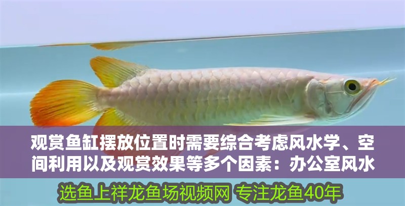 觀賞魚缸擺放位置時需要綜合考慮風水學、空間利用以及觀賞效果等多個因素：辦公室風水布局指南辦公室魚缸擺放風水布局指南
