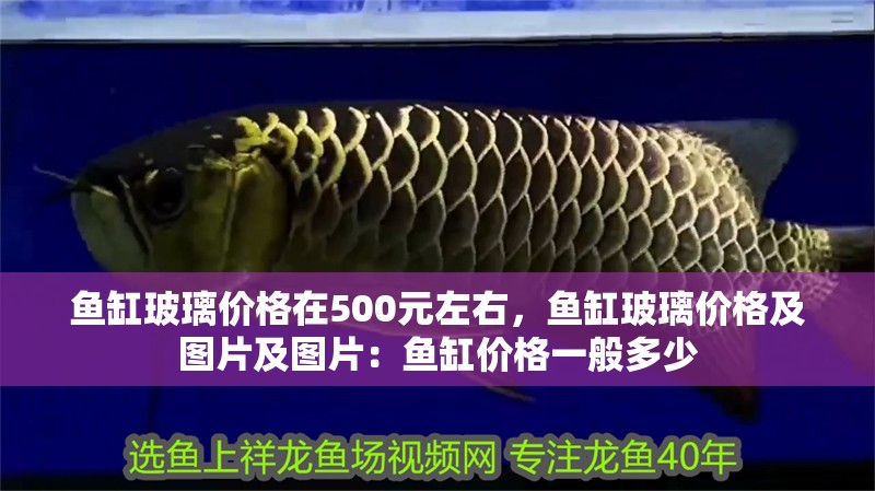 魚缸玻璃價格在500元左右，魚缸玻璃價格及圖片及圖片：魚缸價格一般多少