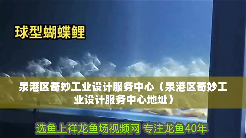 泉港區奇妙工業設計服務中心（泉港區奇妙工業設計服務中心地址）