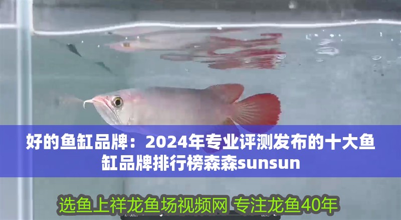 好的魚缸品牌：2024年專業評測發布的十大魚缸品牌排行榜森森sunsun