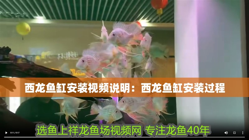 西龍魚缸安裝視頻說明：西龍魚缸安裝過程