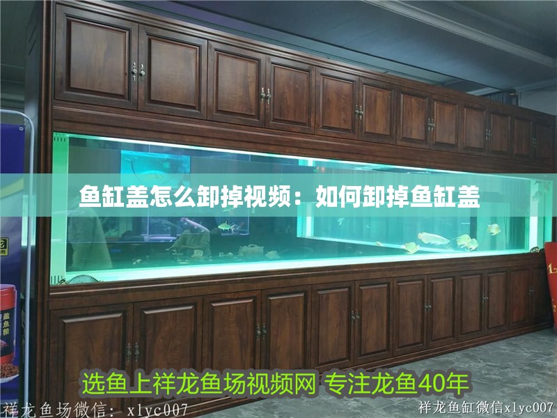 魚缸蓋怎么卸掉視頻：如何卸掉魚缸蓋