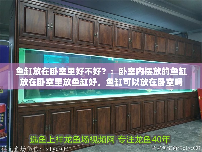 魚缸放在臥室里好不好？：臥室內(nèi)擺放的魚缸放在臥室里放魚缸好，魚缸可以放在臥室嗎