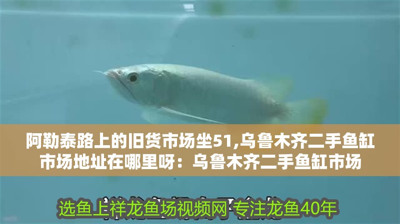阿勒泰路上的舊貨市場坐51,烏魯木齊二手魚缸市場地址在哪里呀：烏魯木齊二手魚缸市場